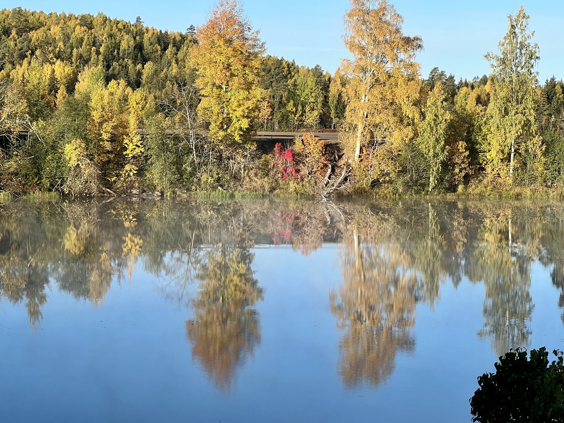 Höstlig strand vid Dalälven