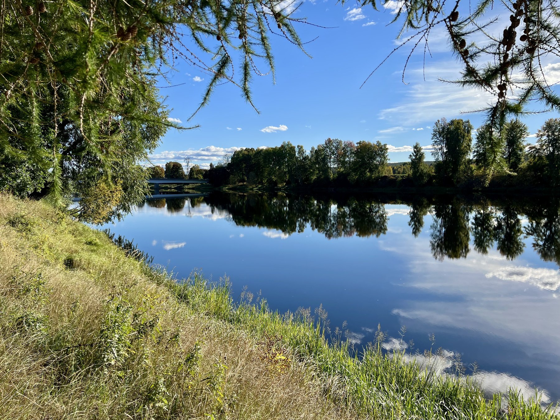 Stilla sommarvatten vid Dalälven