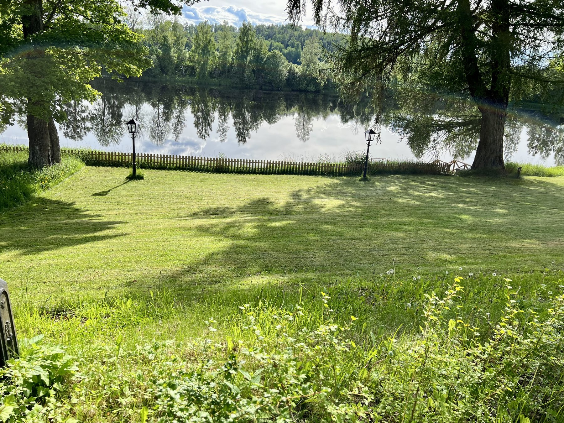 Sommargrönska vid Dalälven